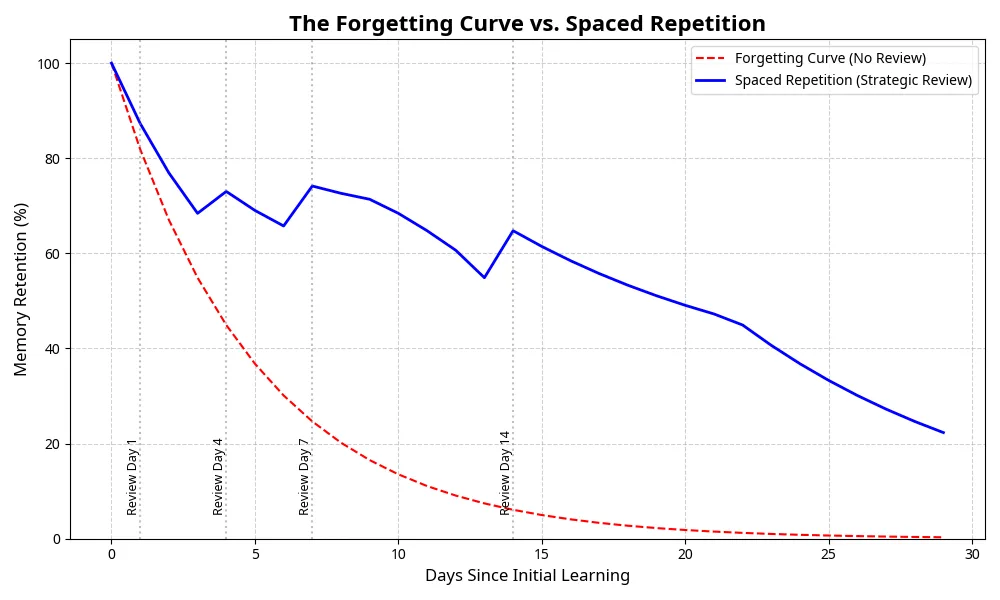 Igcse forgetting curve